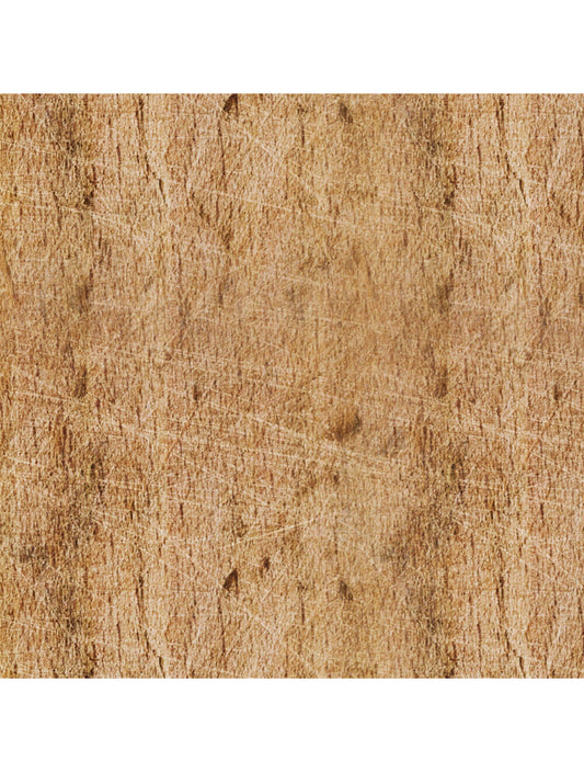 Échantillon de matériau en détresse du bois