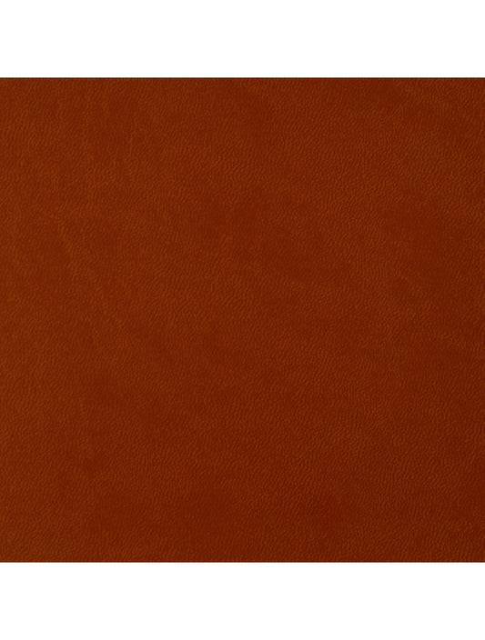 Rom Terracotta Material Swatch (4655)