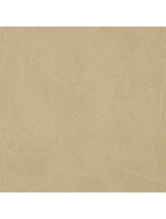 Roma Sand Material Swatch (A788-3253)